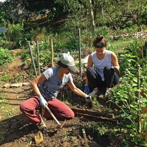 Voluntárias plantando mudas na Horta das Corujas