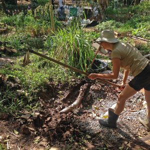 Voluntária preparando a terra durante mutirão na Horta das Corujas