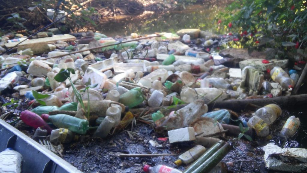 Garrafas de plástico encontradas dentro do rio Tavares, em Ubatuba